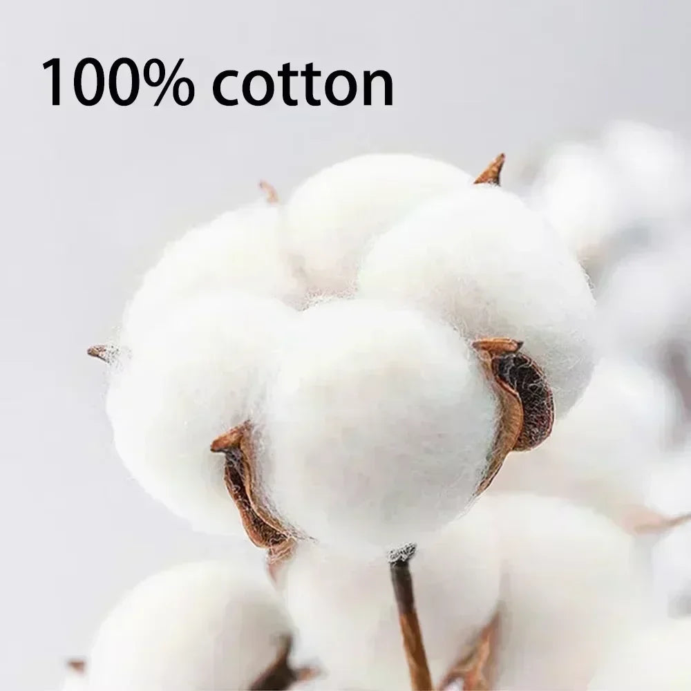 Attack on Titan: Men Women Cartoon Manga Merch Tshirt Men's Oversized T Shirts Washed Vintage Anime Attack on Titan Reiner Braun Graphic T-shirts