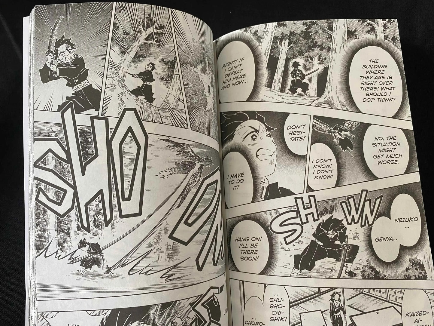 Demon Slayer : English - Vol 1-23 Japan Youth Teen Fantasy Science Mystery Suspense Manga Comic Book Manga Books in