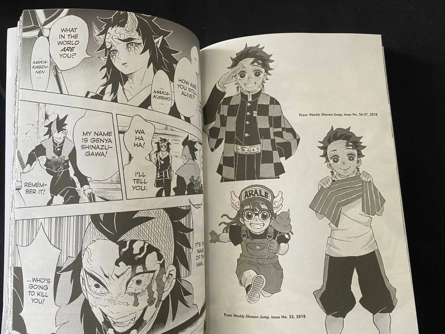 Demon Slayer :  English - Vol 1-23 Japan Youth Teen Fantasy Science Mystery Suspense Manga Comic Book Manga Books in