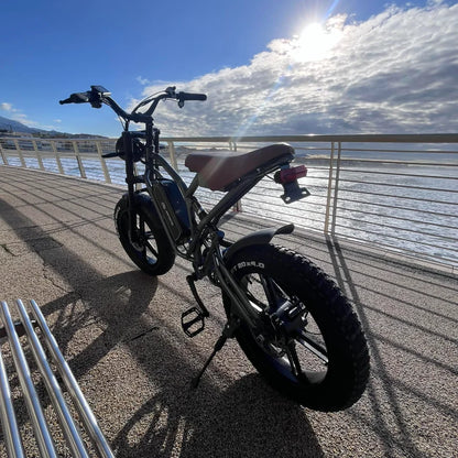 Yowamushi Pedal: Jansno x50 Adult Electric Bike 750W Motor EBicycle 48V 14AH 20 Inch Tire E-Bike Electric Mountain Bike Off-Road Motorcycle