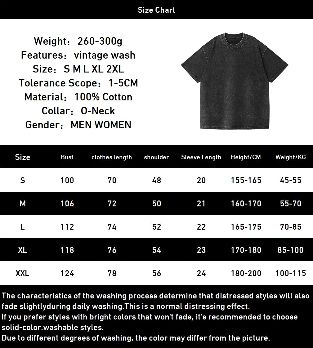 Frieren: Beyond Journey's End -- T-shirt Men's Unisex Clothing Washed Oversized T Shirt High Quality Cotton Tees Tops