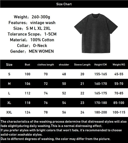 Frieren: Beyond Journey's End -- T-shirt Men's Unisex Clothing Washed Oversized T Shirt High Quality Cotton Tees Tops