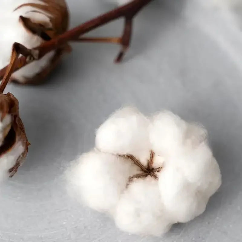 Chainsaw Man Anime Printed Pure Cotton T-shirt for Men and Women Casual Fashion Oversized Harajuku Anime Peripheral Clothing