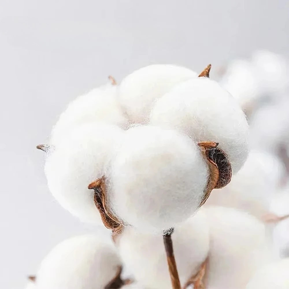 Sonic the Hedgehog: Sonic X Shadow Generation Pattern Printed T-shirt Fashionable Casual Wear for Men and Women T-shirt