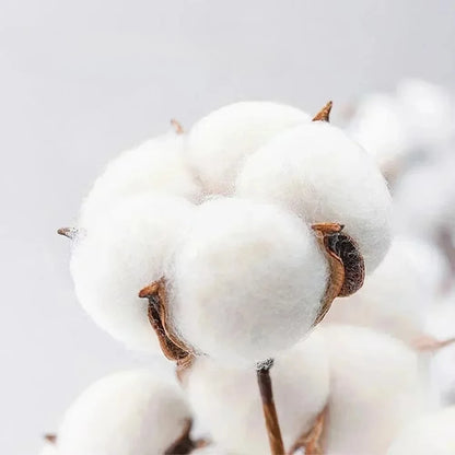 Sonic the Hedgehog: Sonic X Shadow Generation Pattern Printed T-shirt Fashionable Casual Wear for Men and Women T-shirt