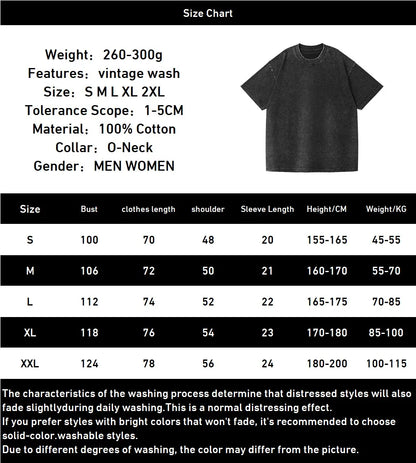 Frieren: Beyond Journey's End -- T-shirt Men's Unisex Clothing Washed Oversized T Shirt High Quality Cotton Tees Tops