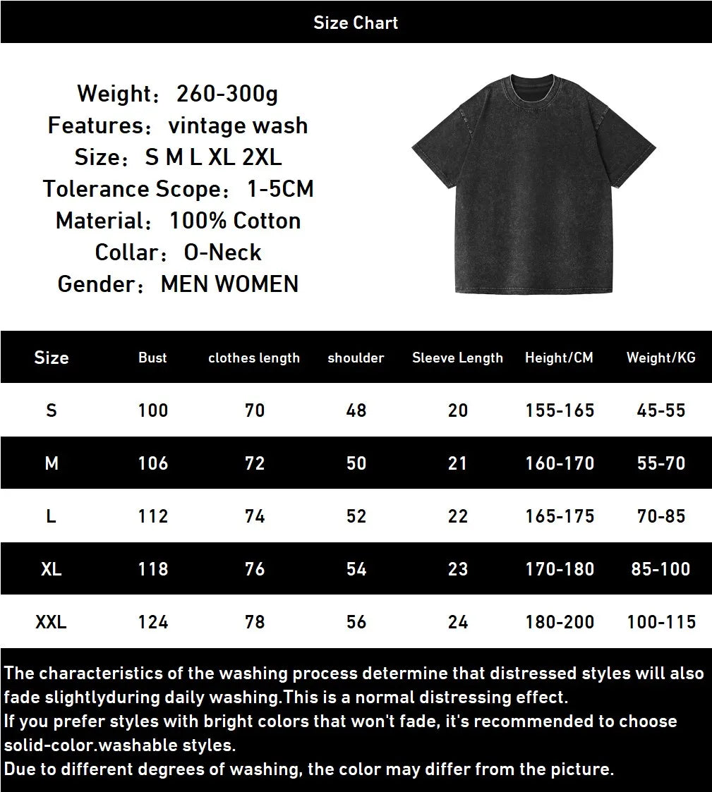 Frieren: Beyond Journey's End -- T-shirt Men's Unisex Clothing Washed Oversized T Shirt High Quality Cotton Tees Tops