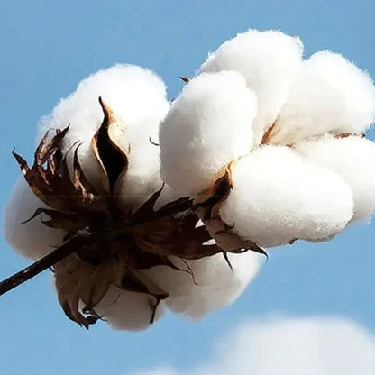 Chainsaw Man: Harajuku Trend Fashion Oversized Anime Peripheral Clothing T-shirt