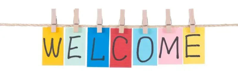 One Piece:MINISO  keychain pendant cartoon Luffy Dragon anime doll creative car keychain bag pendant accessories children's gift