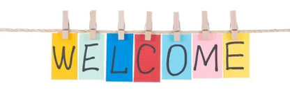 One Piece:MINISO  keychain pendant cartoon Luffy Dragon anime doll creative car keychain bag pendant accessories children's gift